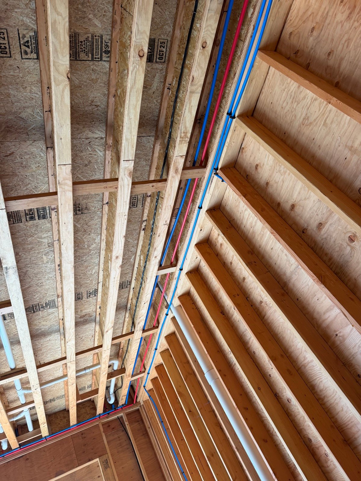 Rough-In Plumbing